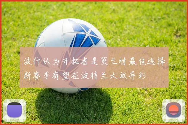 波什认为开拓者是莫兰特最佳选择新赛季有望在波特兰大放异彩