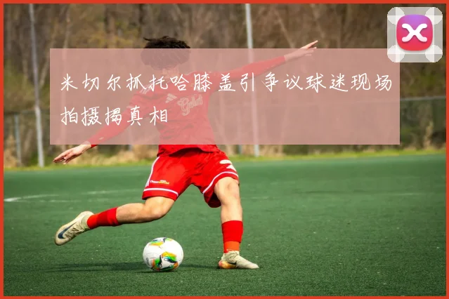 米切尔抓托哈膝盖引争议球迷现场拍摄揭真相
