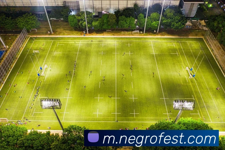 奖项图1